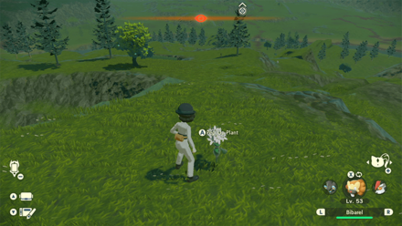 Pokemon Legends Arceus - Pep-Up Plant Height Camp Overworld Location