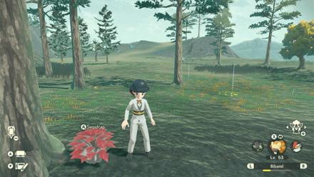 Pokemon Legends Arceus - Swordcap West of Clamberclaw Cliffs Overworld Location