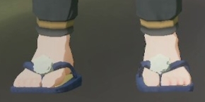 Footwear Indigo.png