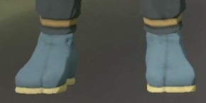 Footwear Blue Spruce.png