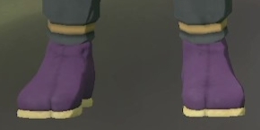Footwear Amethyst.png