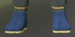 Footwear Indigo.png