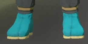 Footwear Teal.png