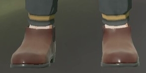 Footwear Dark Tea.png