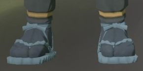 Footwear Blue Spruce.png