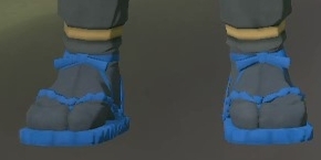 Footwear Sapphire.png