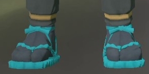 Footwear Teal.png