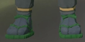 Footwear Pine.png