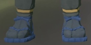 Footwear Indigo.png