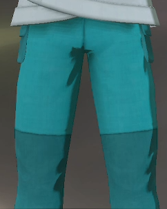 Bottoms Teal.png