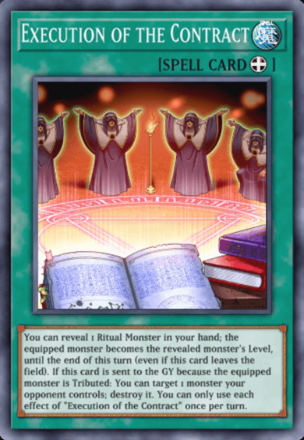 Execution of the Contract