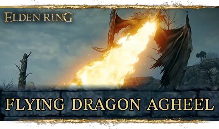 Elden Ring - Flying Dragon Agheel