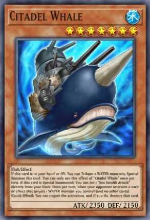 Citadel Whale
