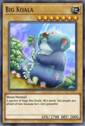Big Koala