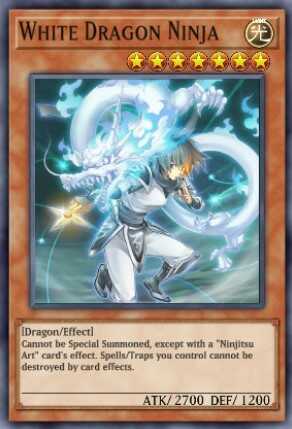 White Dragon Ninja
