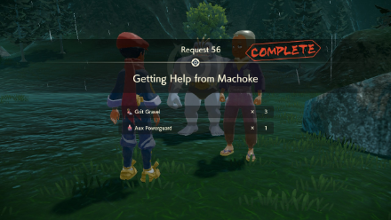 Getting Help from Machoke