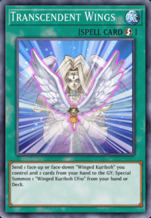 Transcendent Wings