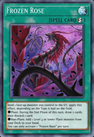Frozen Rose