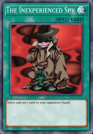 The Inexperienced Spy