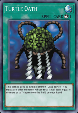 Turtle Oath