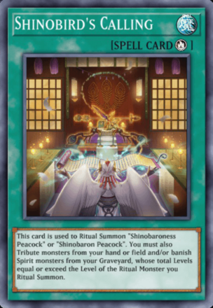 Shinobird