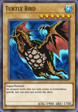 Turtle Bird