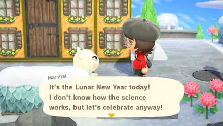 ACNH - Lunar New Year - What Happens During Lunar New Year