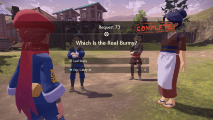 Which is the Real Burmy?