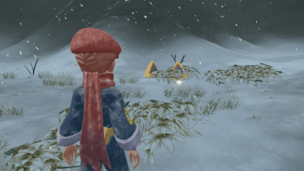 Pair of Snorunt Request