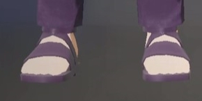 Footwear Amethyst.png