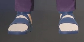 Footwear Indigo.png