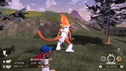 PLA Alpha Infernape Catch