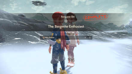 The Bergmite Enthusiast