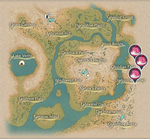 Happiny Obsidian Fieldlands Map Locations