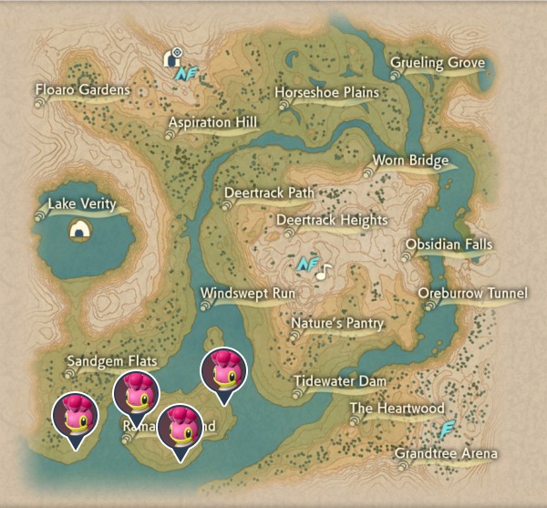 Shellos Obsidian Fieldlands Map Locations