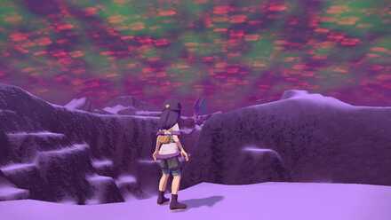 Follow their flight path