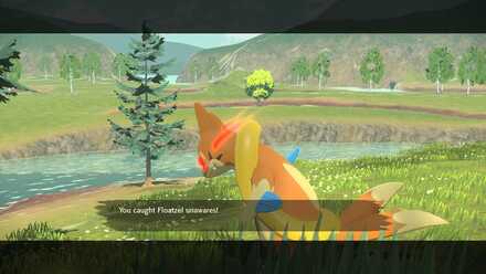 Catch Floatzel Unaware