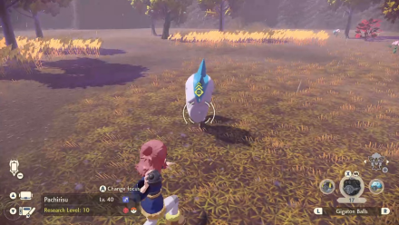 Alpha Pachirisu Back Strike.png