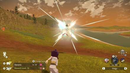 Staravia Catch them Unawares