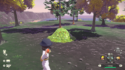 Pokemon Legends Arceus - Destroy Piles of Leaves at Cobalt Coastlands