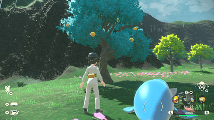 Pokemon Legends Arceus - Pinap Berry Overworld Location