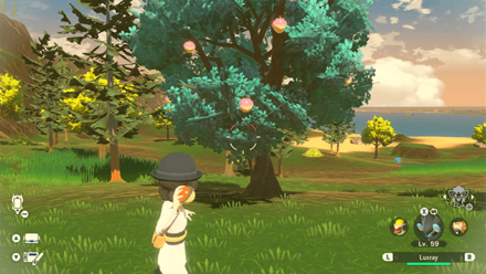 Pokemon Legends Arceus - Pecha Berry Overworld Location