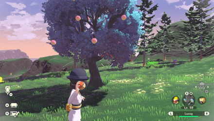 Pokemon Legends Arceus - Nanab Berry Overworld Location
