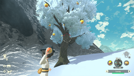 Pokemon Legends Arceus - Aspear Berry Overworld  Location