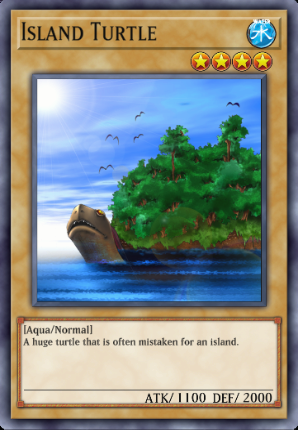 Island Turtle
