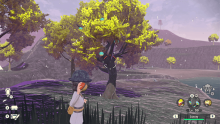 Pokemon Legends Arceus - Chesto Berry Overworld Location