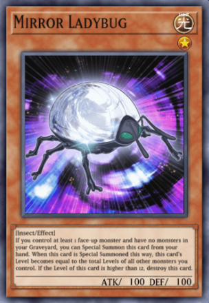 Mirror Ladybug