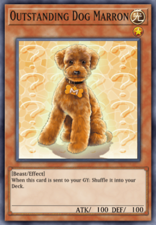 Outstanding Dog Marron