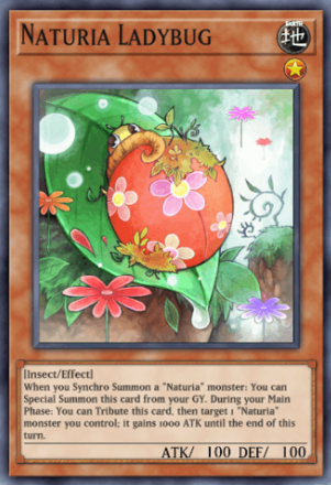 Naturia Ladybug