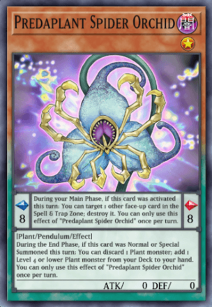 Predaplant Spider Orchid